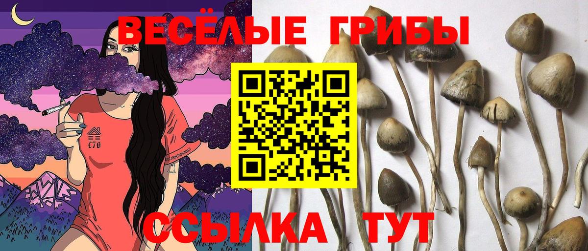 даркнет сайт  Галлюциногенные грибы мухоморы  Вход с VPN  Ступино 